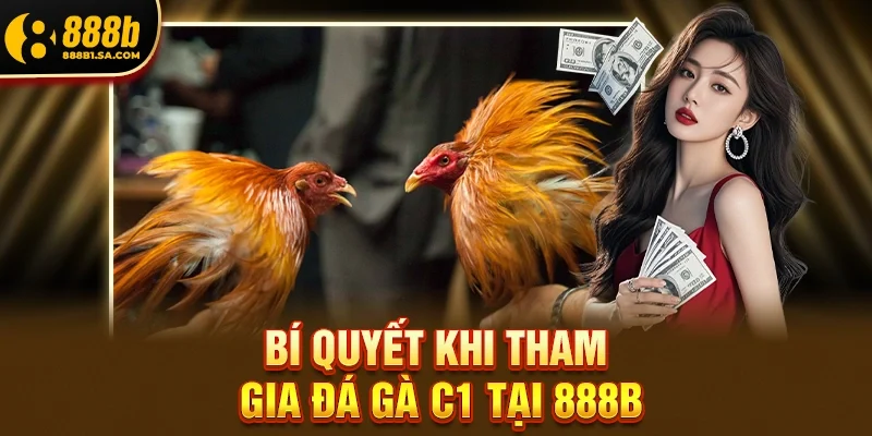 Bí Quyết Khi Tham Gia Đá gà C1 Tại 888b