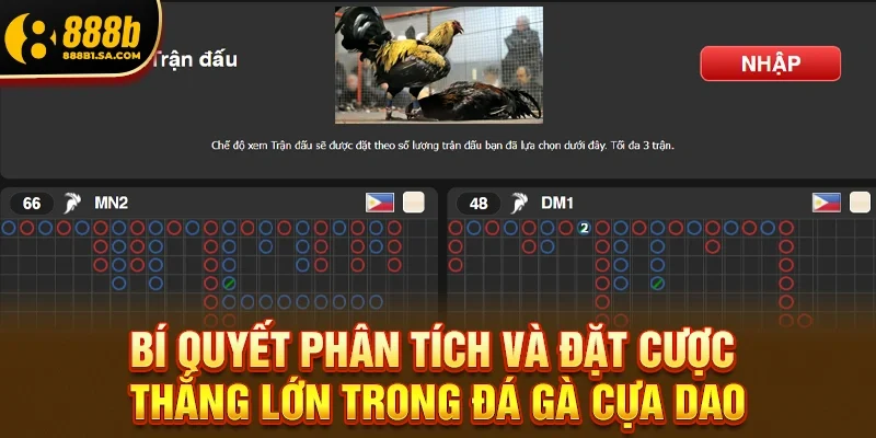 Bí Quyết Phân Tích Và Đặt Cược Thắng Lớn Trong Đá Gà Cựa Dao