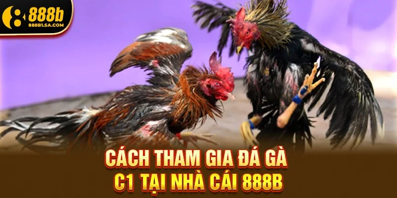 Đá Gà C1 888b – Hướng Dẫn Chi Tiết Tham Gia Từng Bước Từ A Đến Z