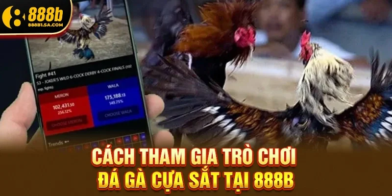 Đá gà cựa sắt– Trò chơi đối kháng kịch tính bậc nhất hiện nay