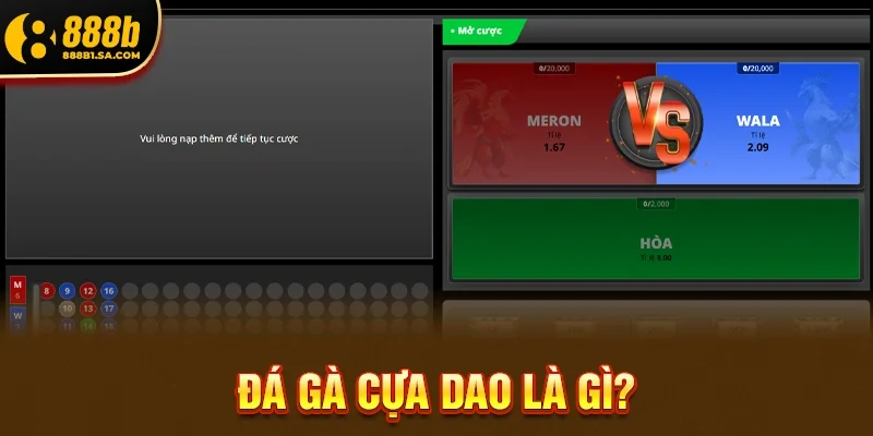 Đá Gà Cựa Dao Là Gì? 