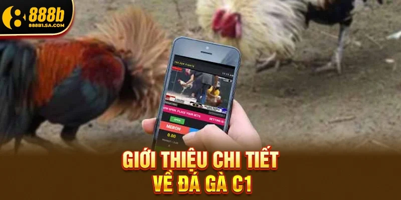 Giới thiệu chi tiết về Đá Gà C1