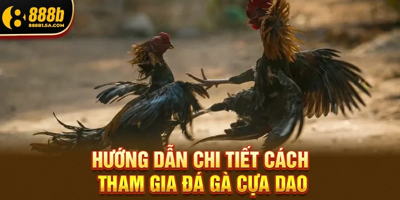 Đá Gà Cựa Dao – Bộ Môn Kịch Tính Nhất Trong Thế Giới Đấu Trường Trực Tuyến