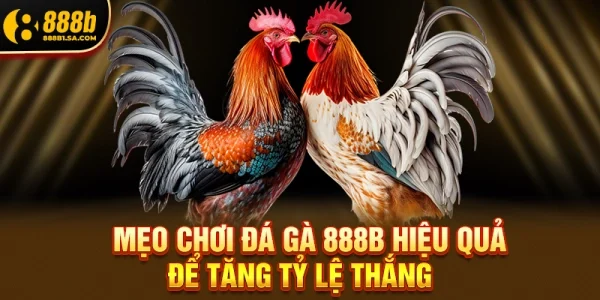 Mẹo Chơi Đá Gà 888b Hiệu Quả Để Tăng Tỷ Lệ Thắng