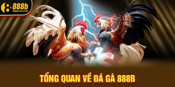 Tổng Quan Về Đá Gà 888b 